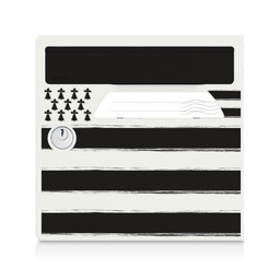 Porte avant décorée "Breizh"